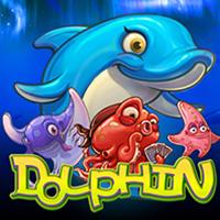 Dolphin